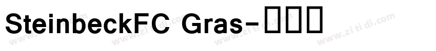 SteinbeckFC Gras字体转换